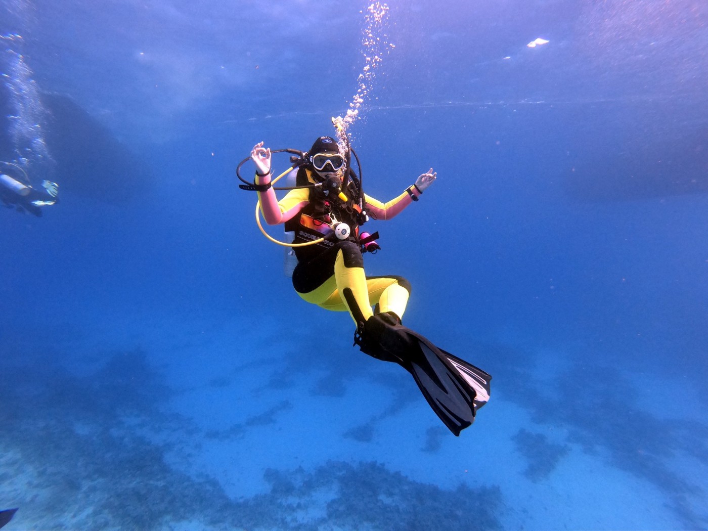 Belek Scuba Diving Tours Discover Amazing Marine Life