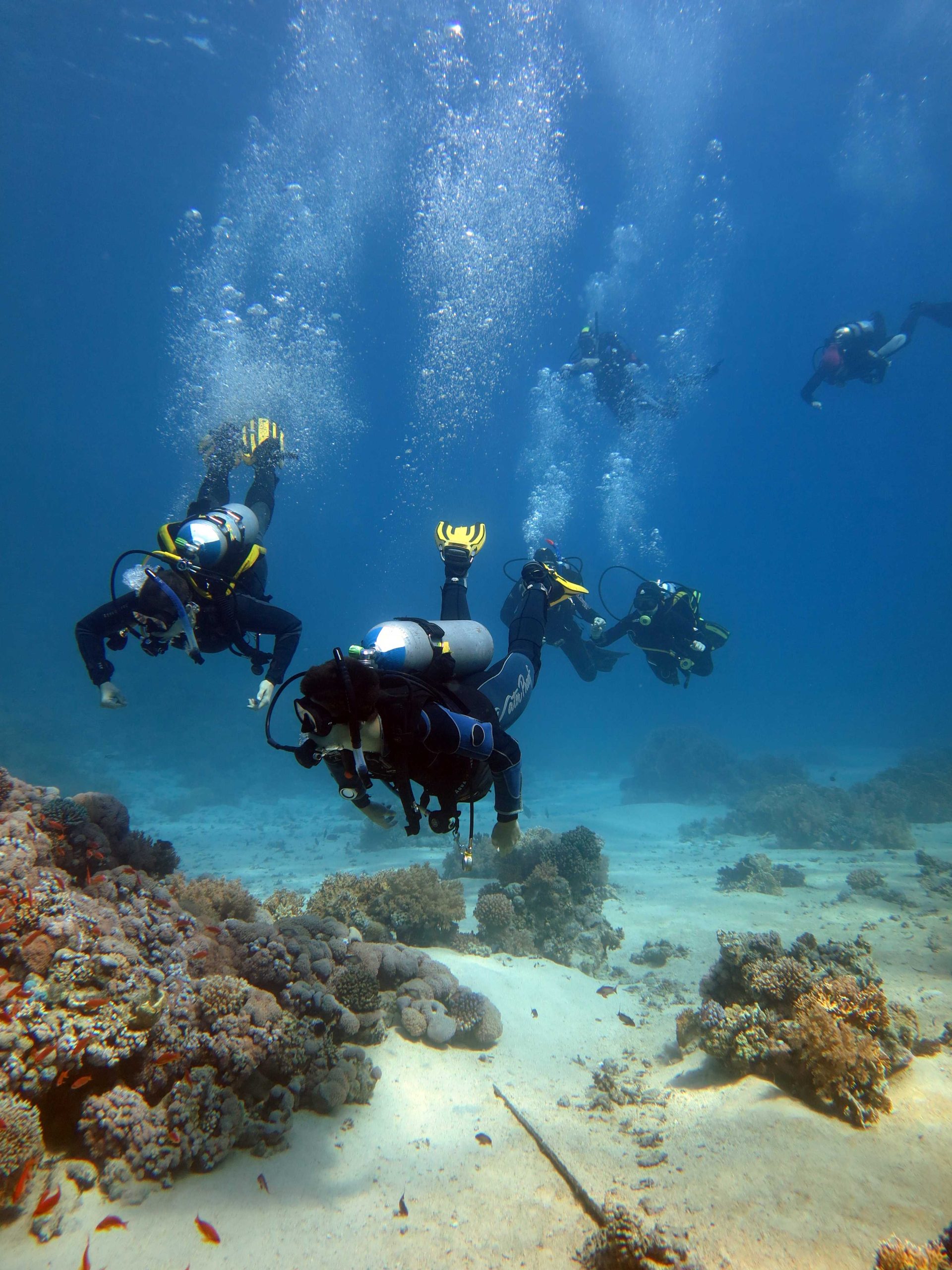 Belek Scuba Diving Tours Discover Amazing Marine Life