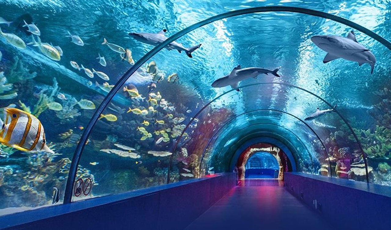 Today Antalya Aquarium from Belek Family Tours and Tickets