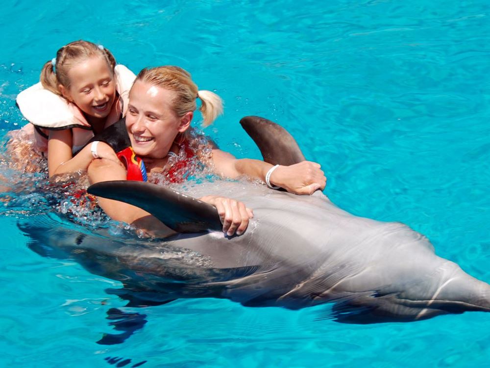 Swimming with Dolphins in Antalya