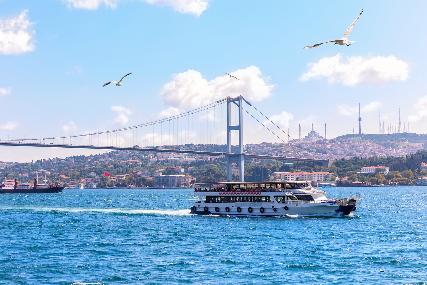 One Day Istanbul Tour from Belek with Guide & Transfers