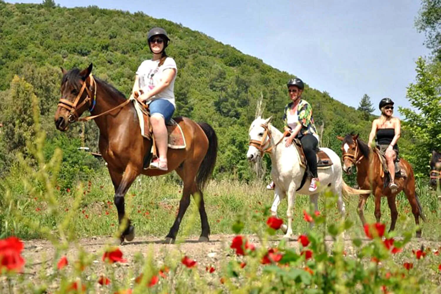 Antalya Horse Riding Adventures for Nature Lovers