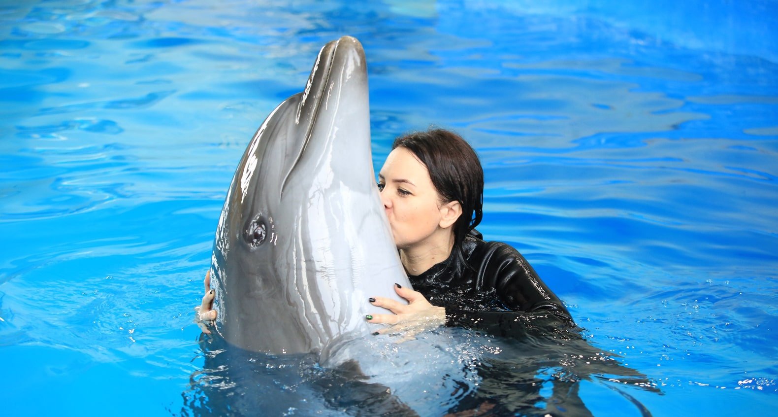 dolphin show belek magical moments for kids and adults