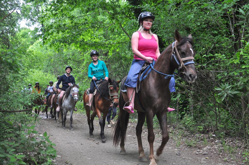 Antalya Horse Riding Adventures for Nature Lovers