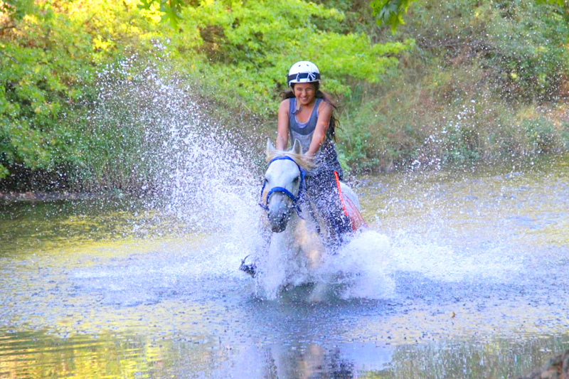 Private Trips in Side