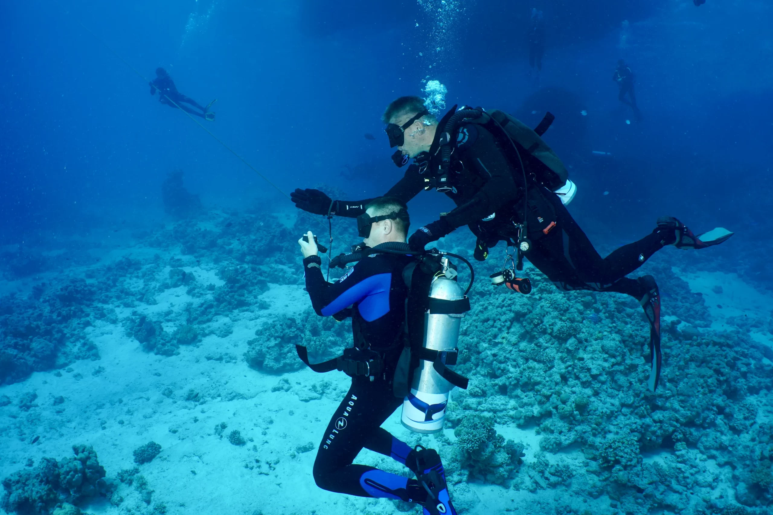 Belek Scuba Diving Tours Discover Amazing Marine Life
