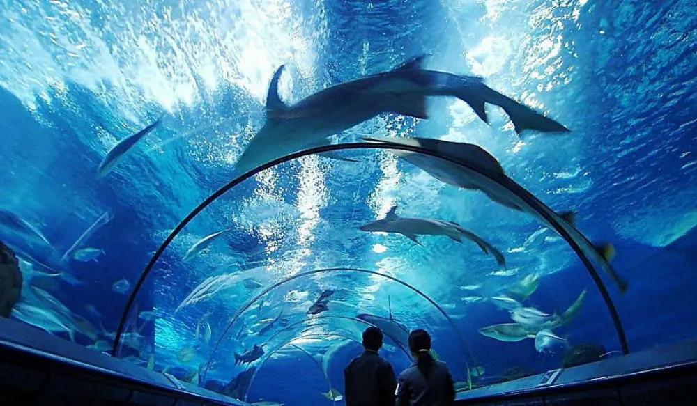Today Antalya Aquarium from Belek Family Tours and Tickets