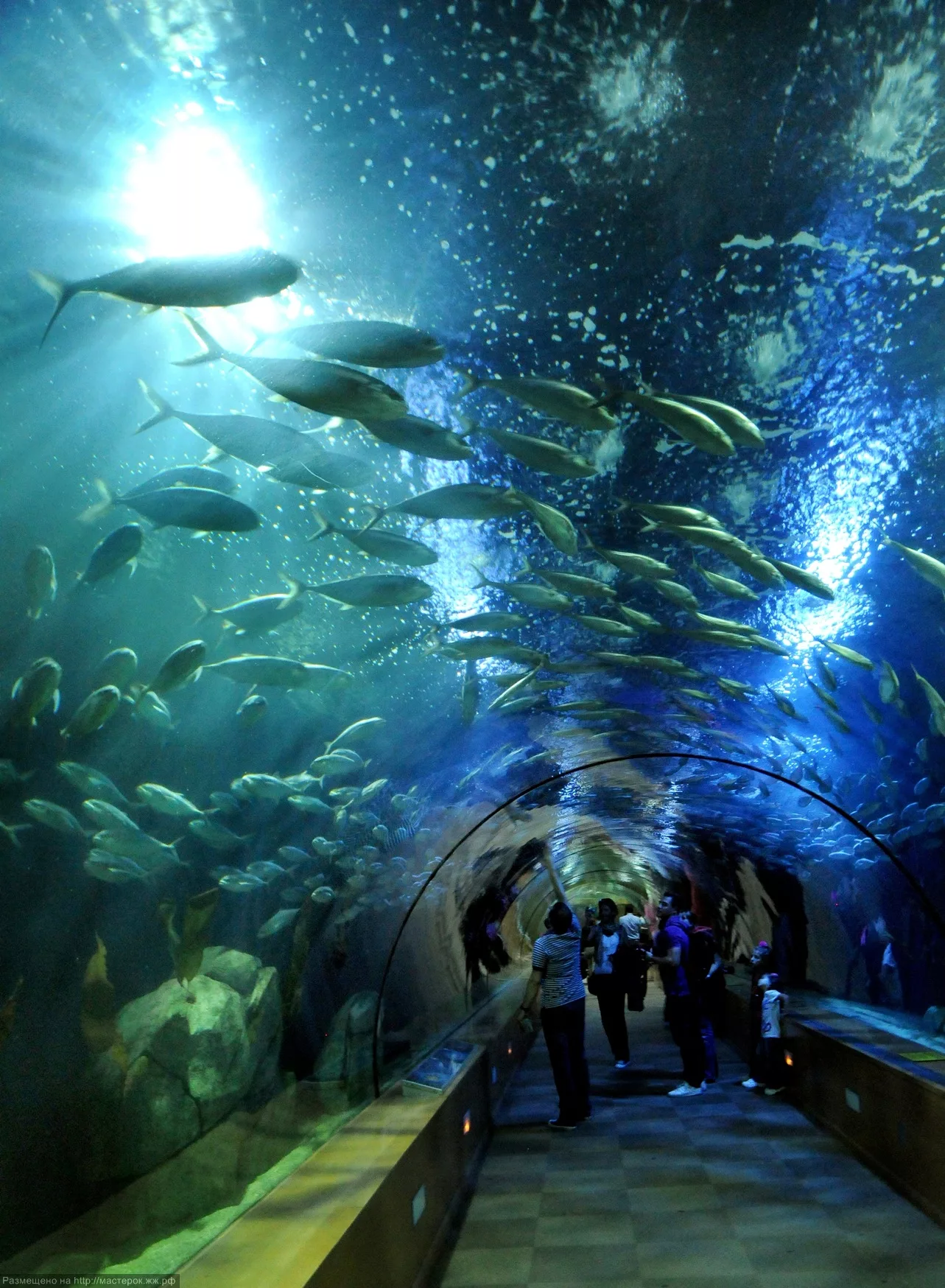 Аквариум в Анталии