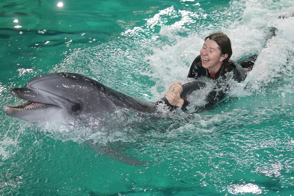 Плавание с дельфинами в Анталии