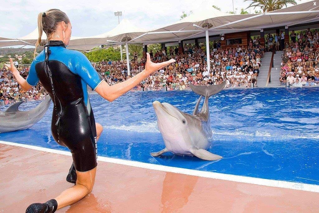 Antalya Dolphin Show Adventure for Families and Children