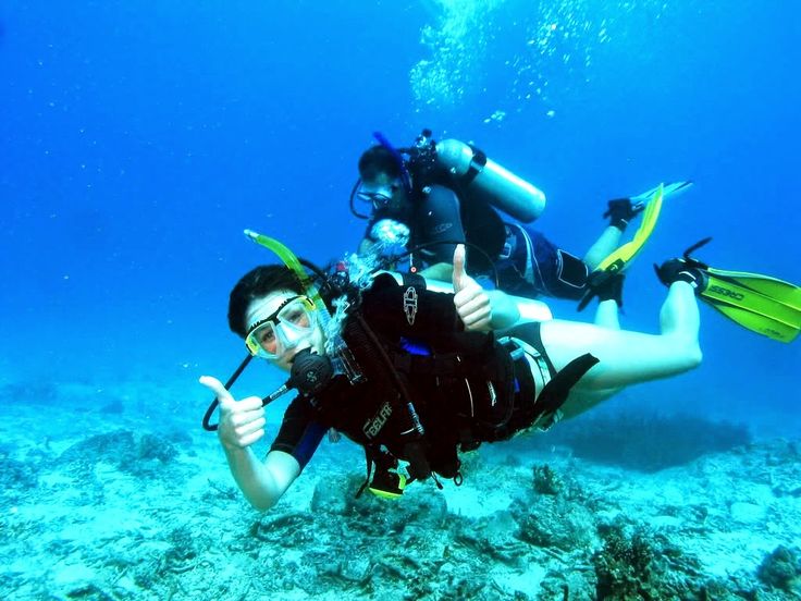 Scuba Diving in Alanya Explore the Best Underwater Spots