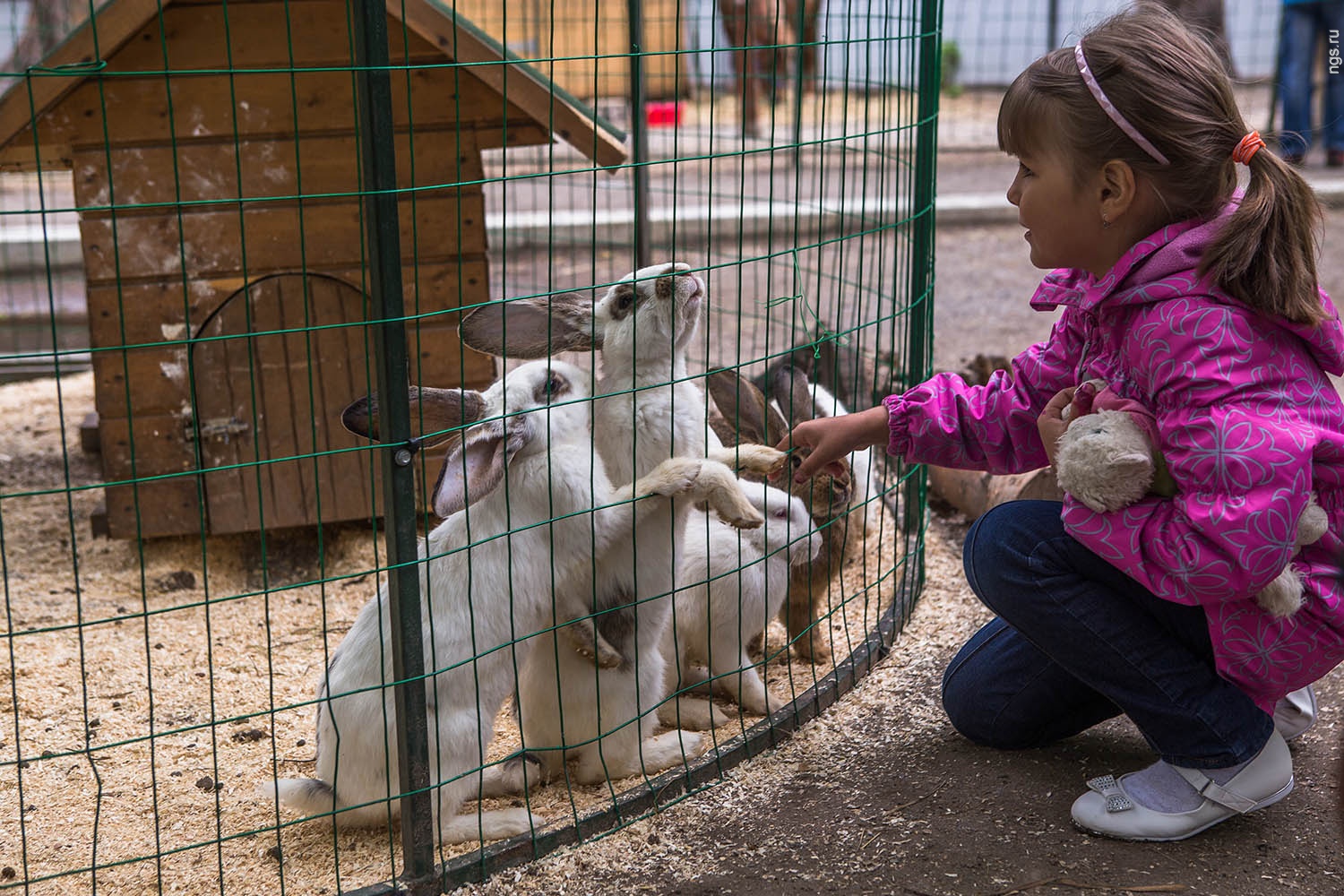 Зеленый Каньон на кабрио-автобусах из Сиде