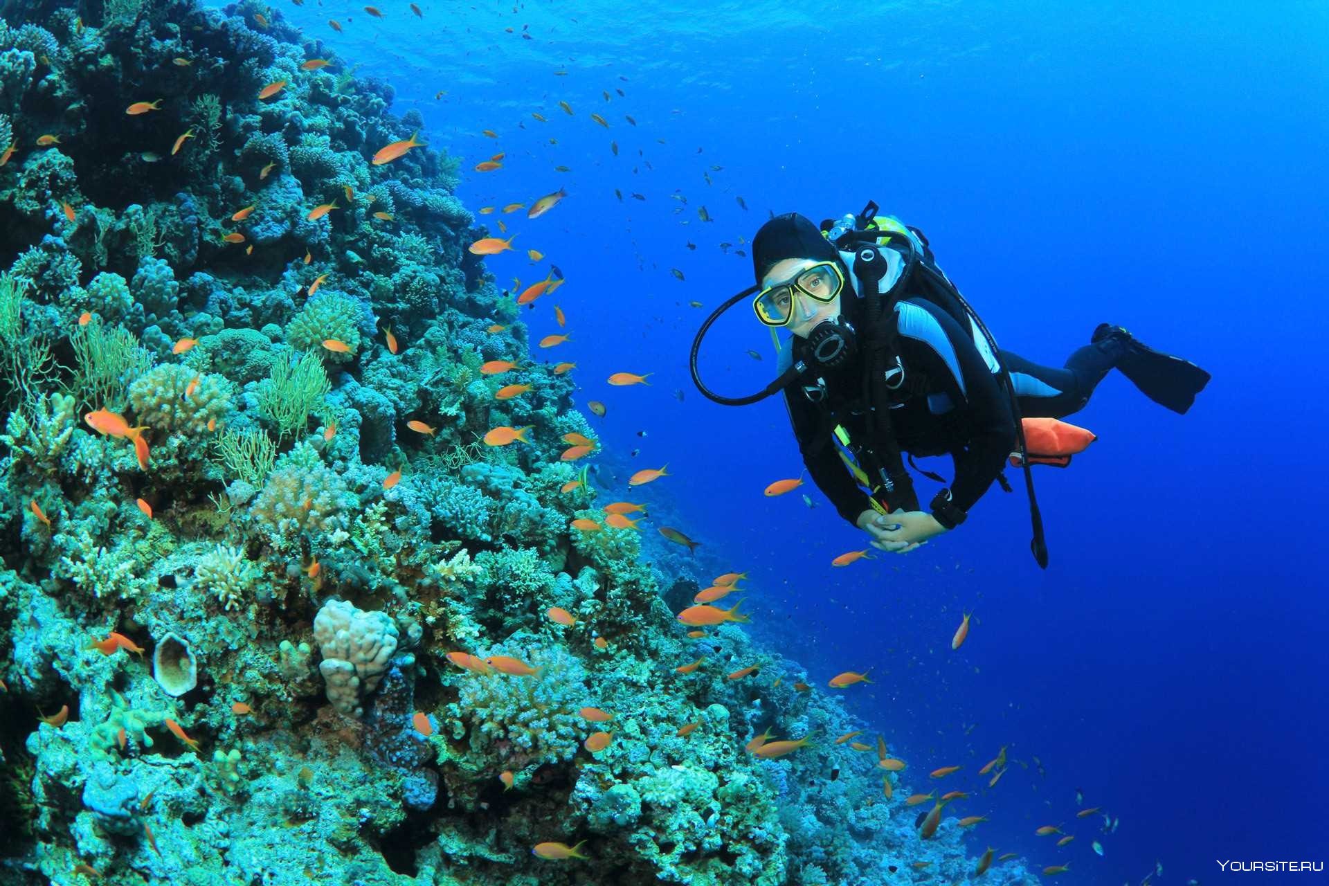 Scuba Diving in Alanya Explore the Best Underwater Spots