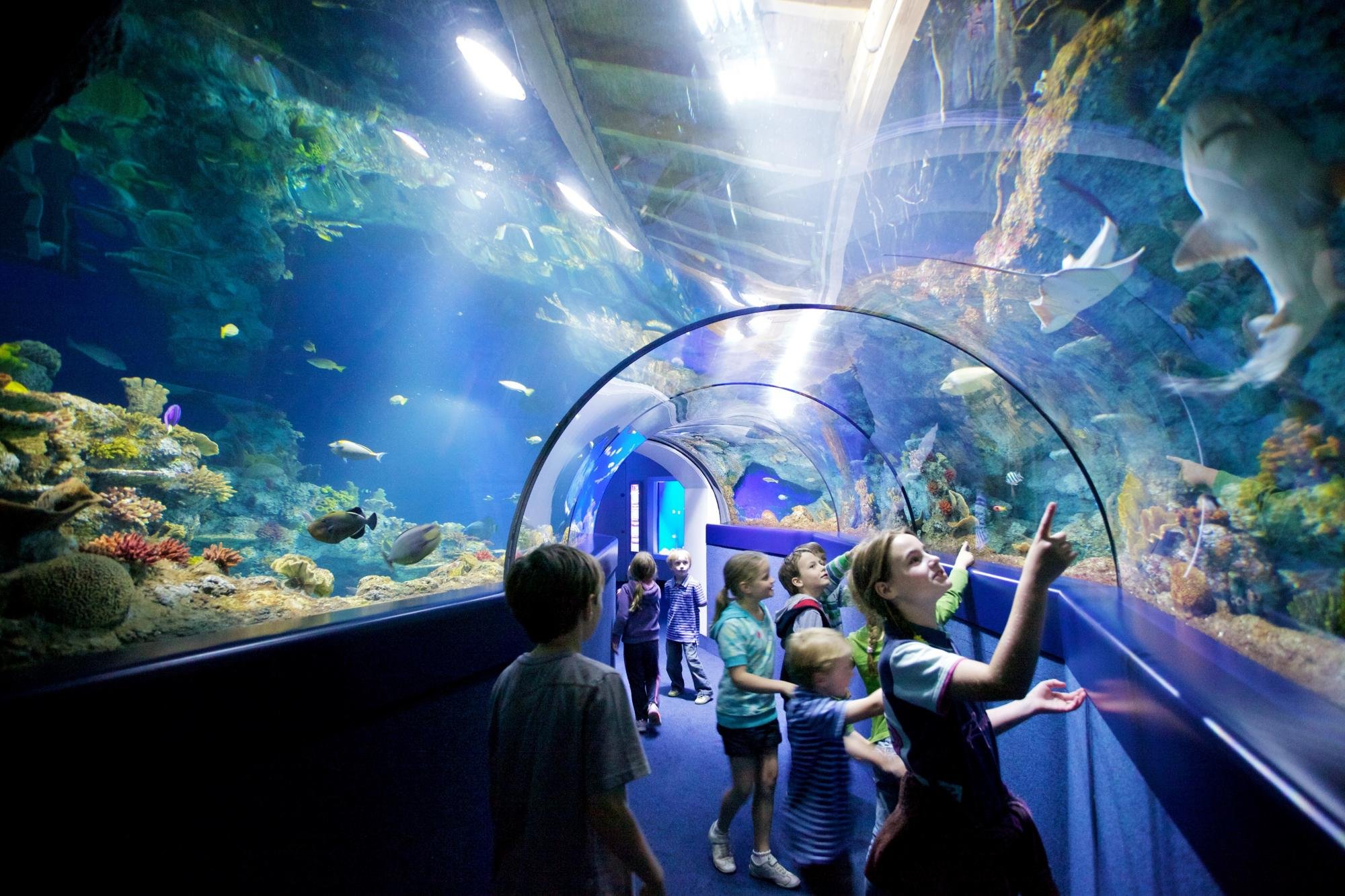 Side Antalya Aquarium Tour