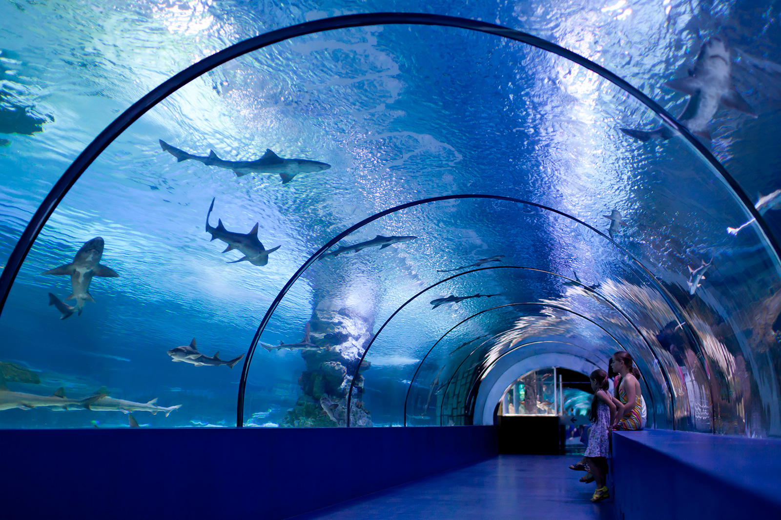 Side Antalya Aquarium Tour