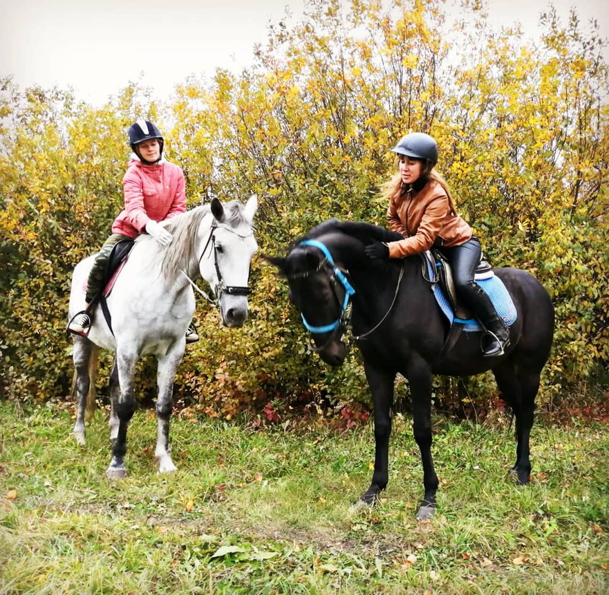 Прогулка на лошадях в Сиде