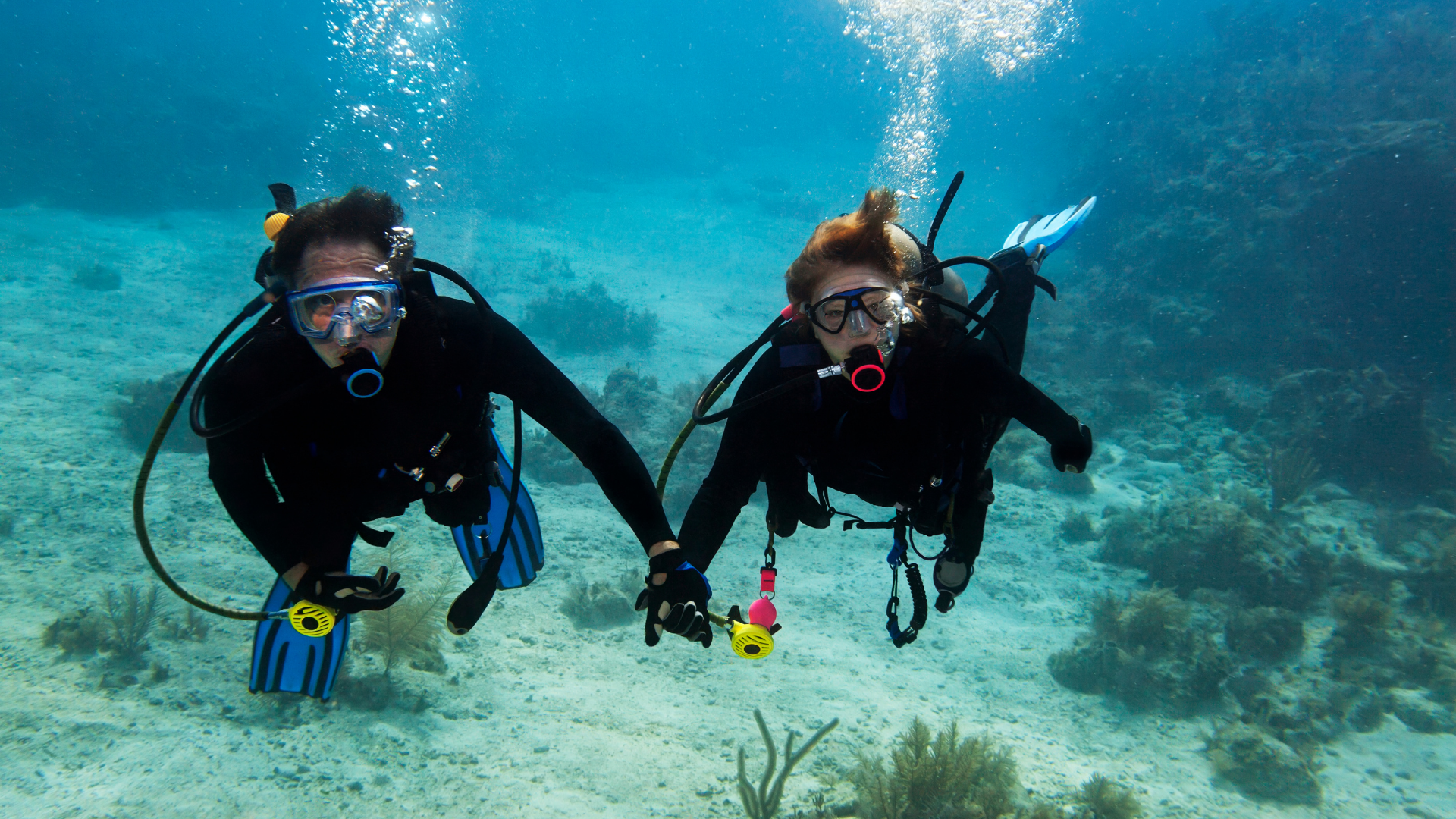 Kemer Scuba diving best reef sites & tours in Turkey