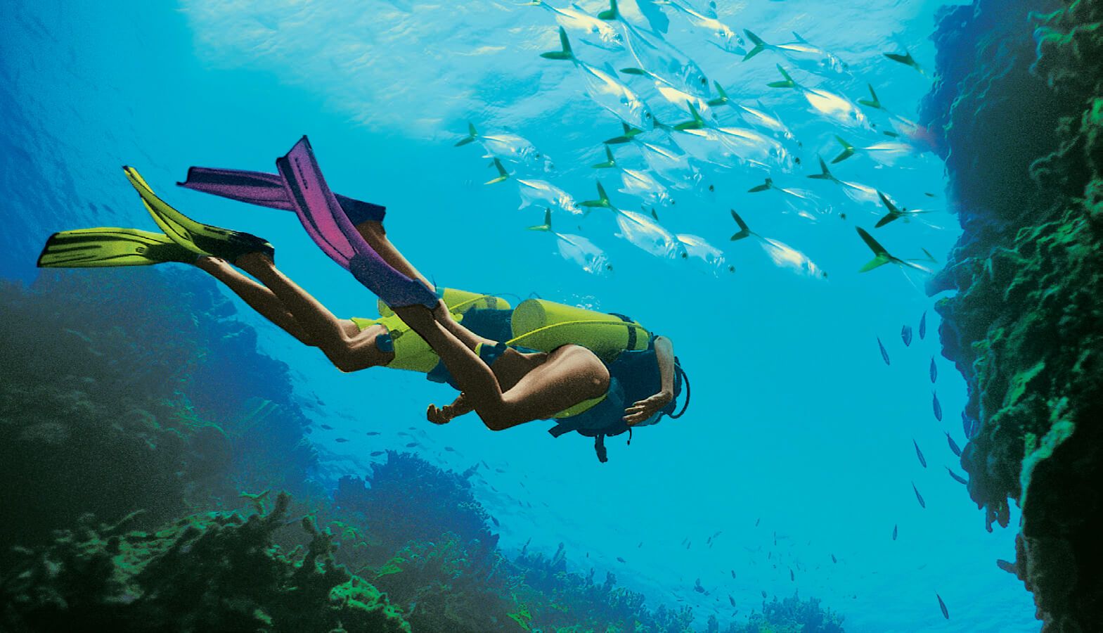 Kemer Scuba diving best reef sites & tours in Turkey