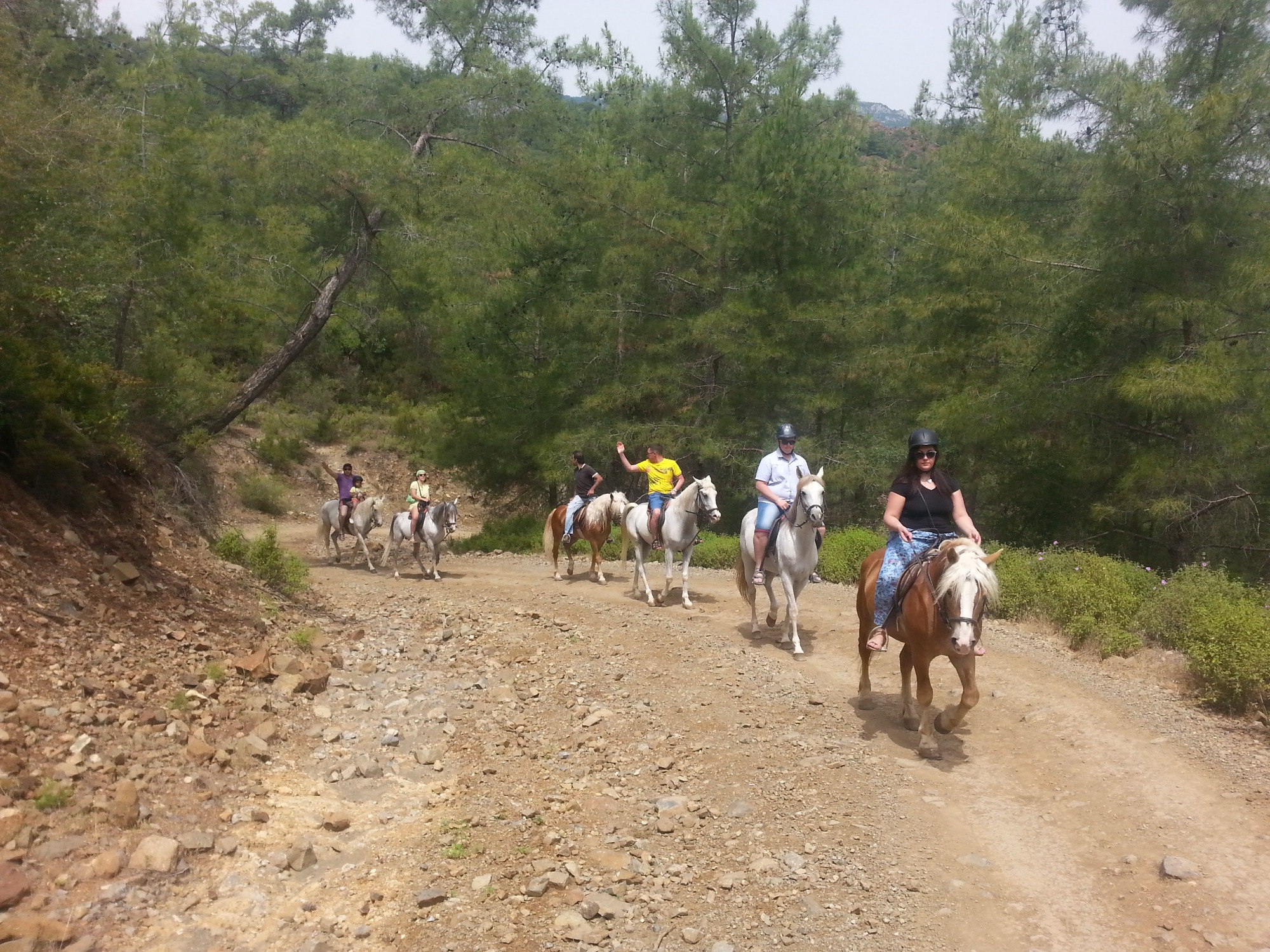 Прогулка на лошадях в Сиде
