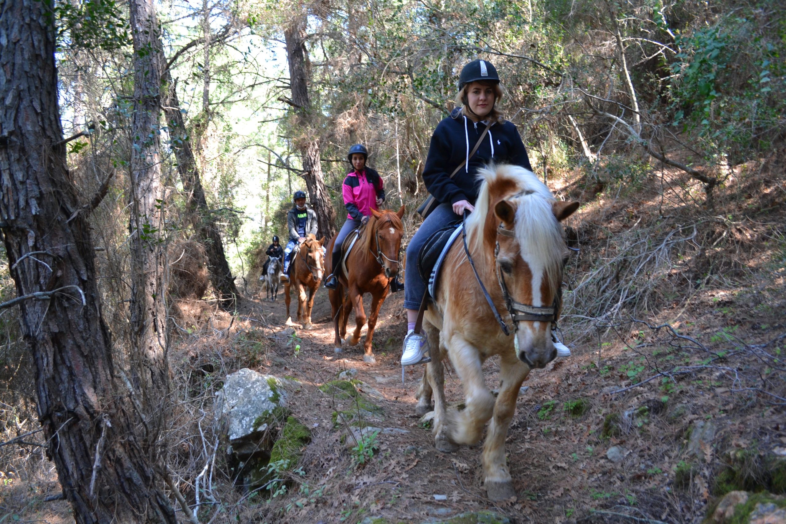 Прогулка на лошадях в Алании