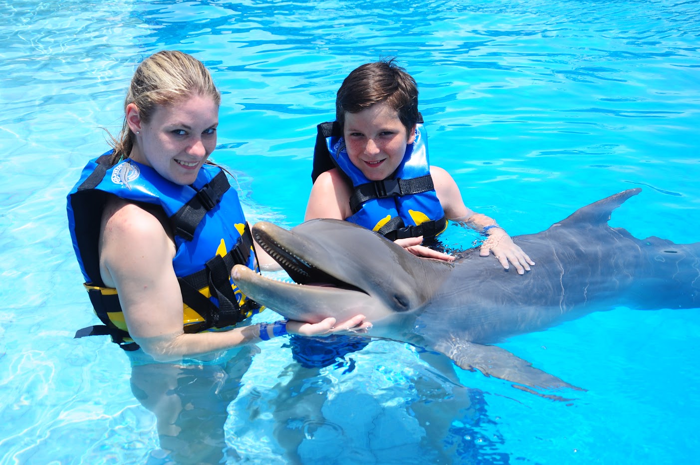 Swim with dolphins in Side