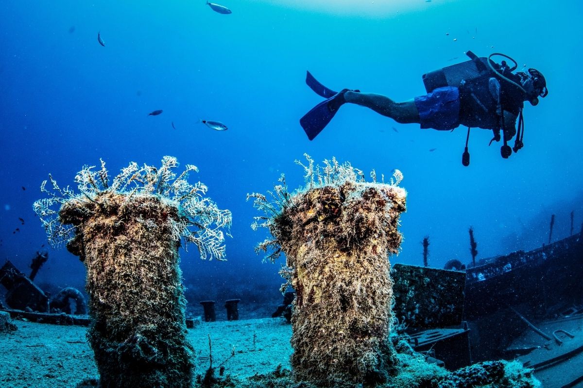 Дайвинг в Сиде