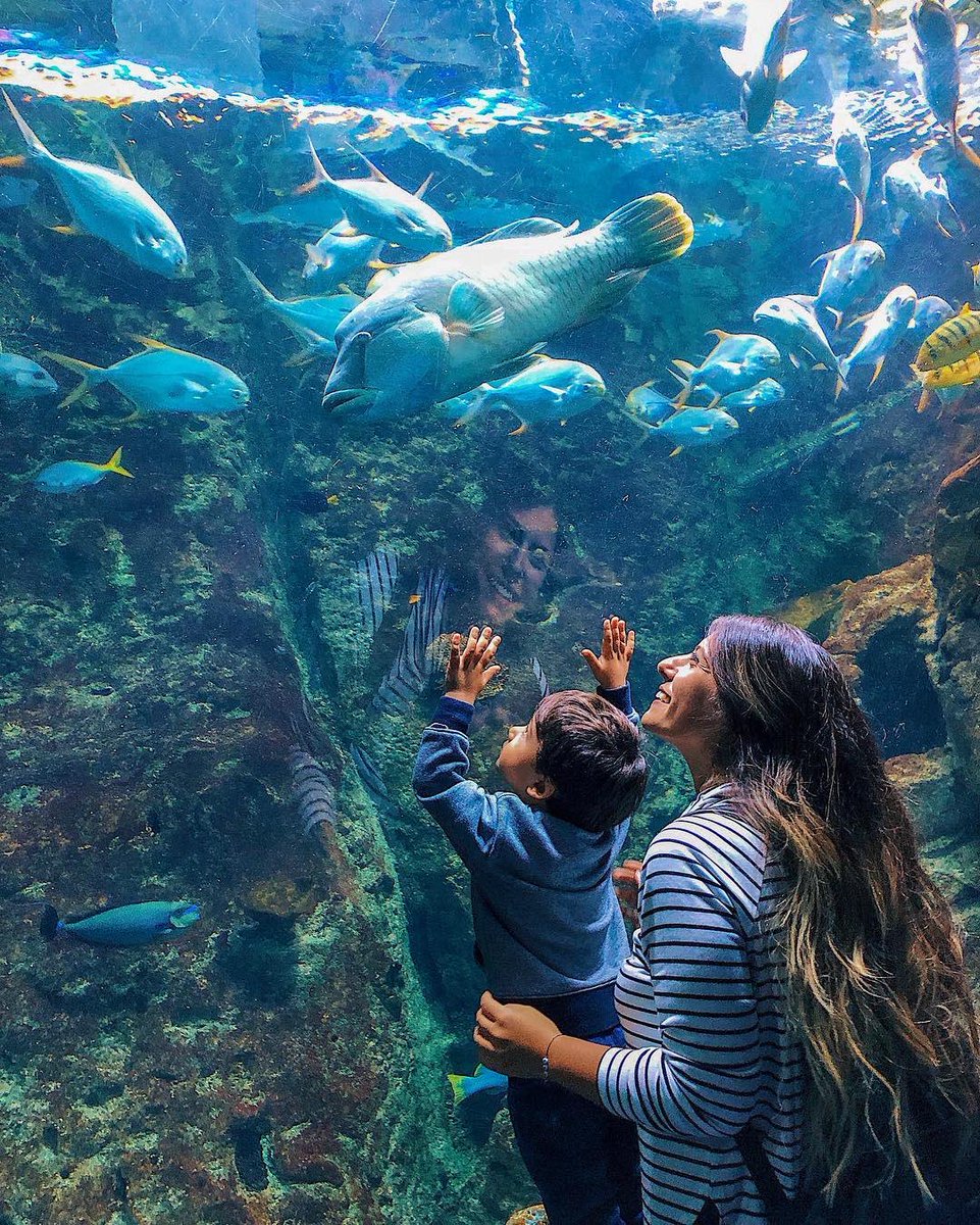 Antalya Aquarium Tour from Alanya tickets and prices