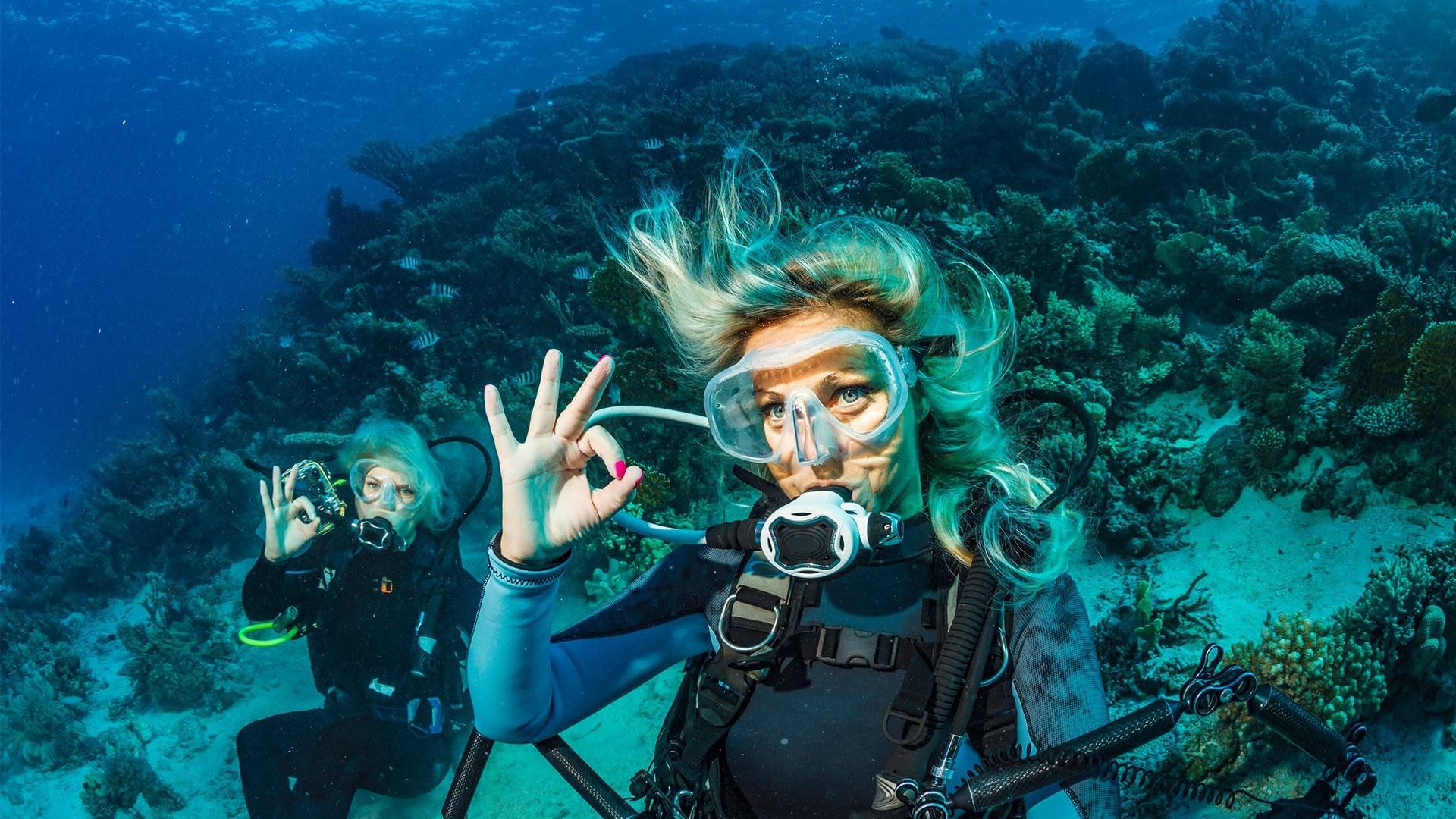 Kemer Scuba diving best reef sites & tours in Turkey