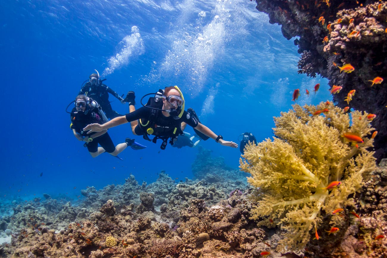 Kemer Scuba diving best reef sites & tours in Turkey