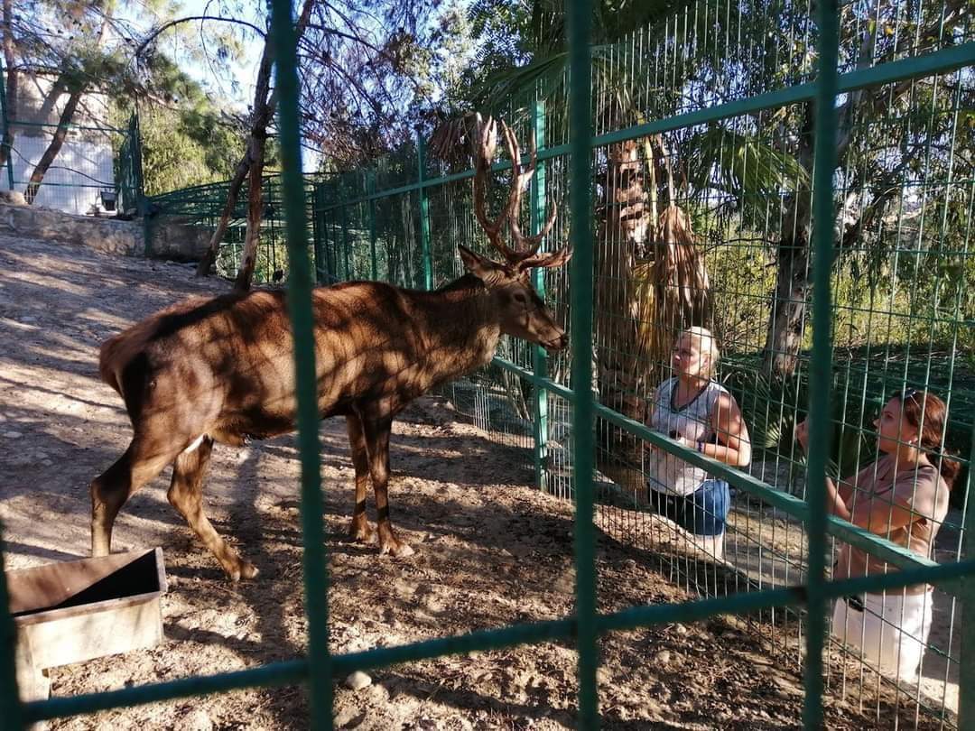 Jeep Safari Alanya and Green Canyon Tours Adventure Awaits