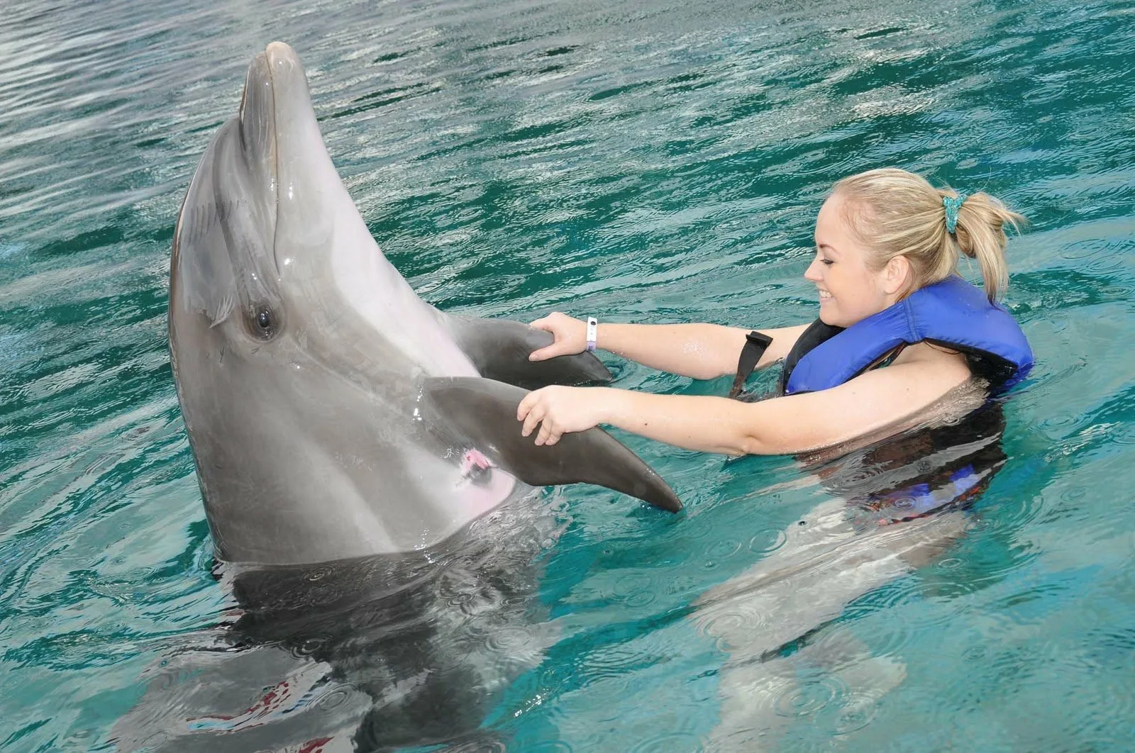 Swim with dolphins in Side