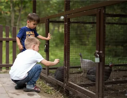 Зеленый Каньон на кабрио-автобусах из Сиде
