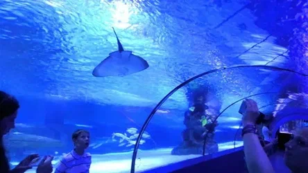 Antalya Aquarium Tour from Alanya tickets and prices