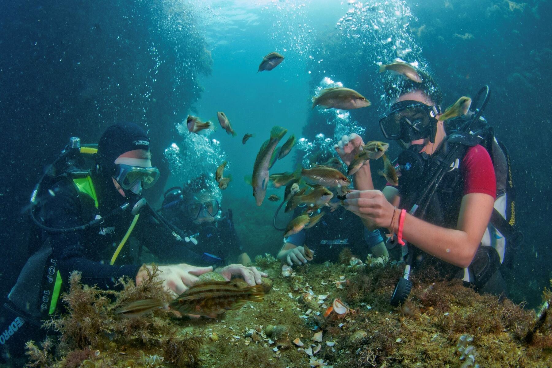 Scuba Diving in Alanya Explore the Best Underwater Spots