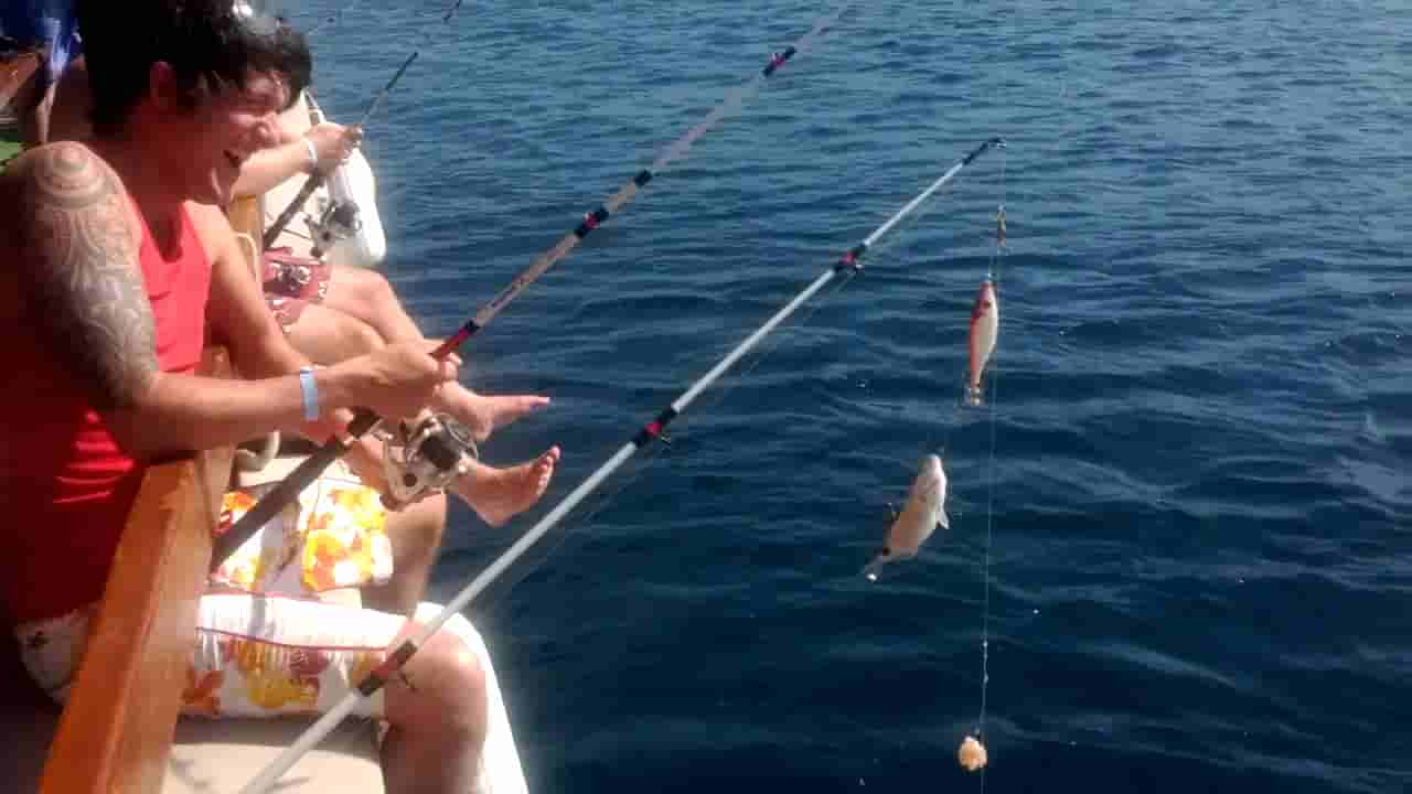 Fishing in Side Thrilling Sea Adventures and Hidden Coves
