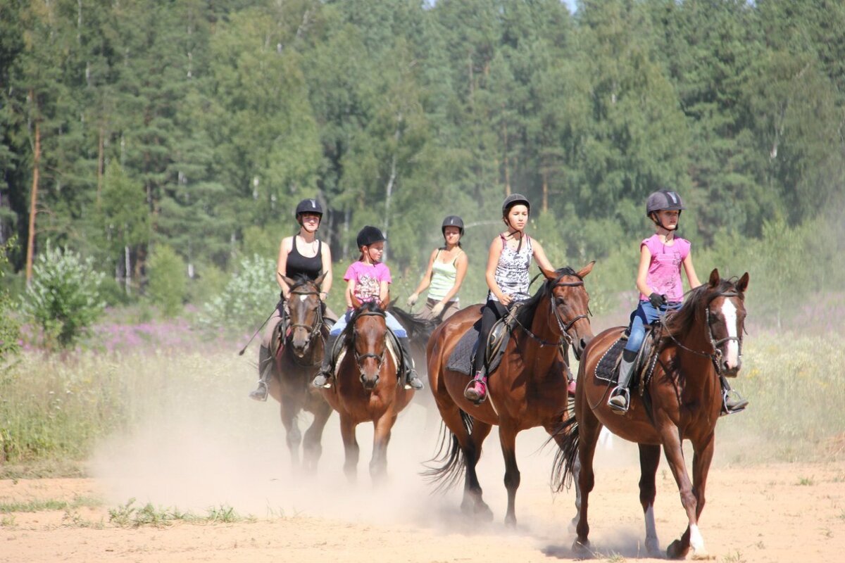 Прогулка на лошадях в Сиде