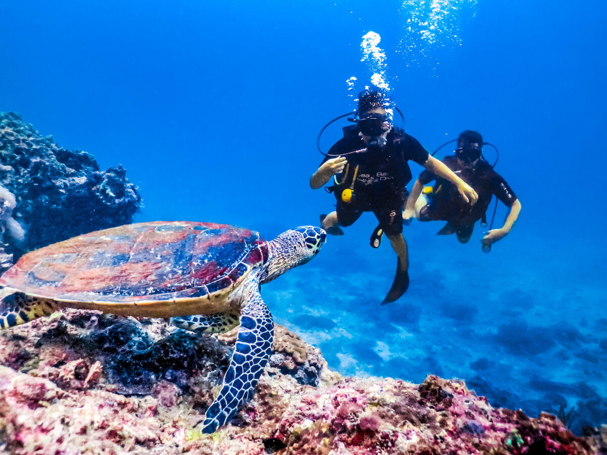 Scuba Diving in Alanya Explore the Best Underwater Spots