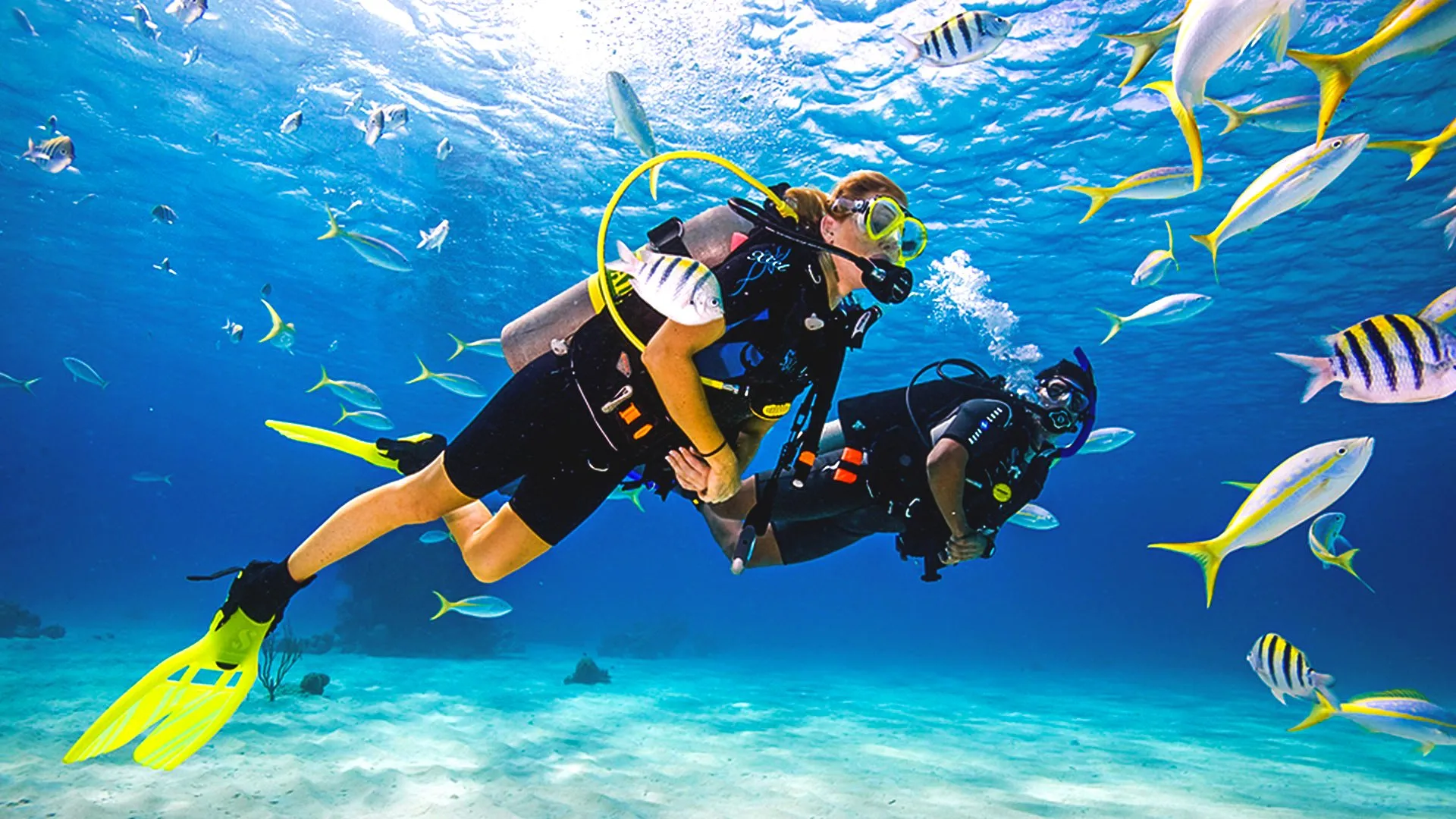 Kemer Scuba diving best reef sites & tours in Turkey