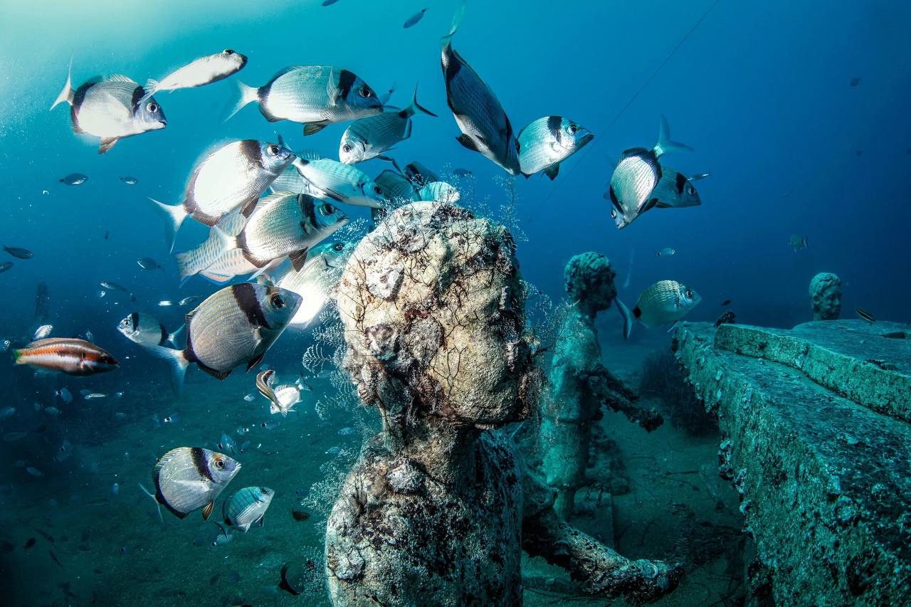 Дайвинг в Сиде