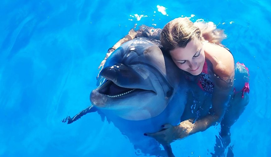 Swimming with Dolphins in Kusadasi