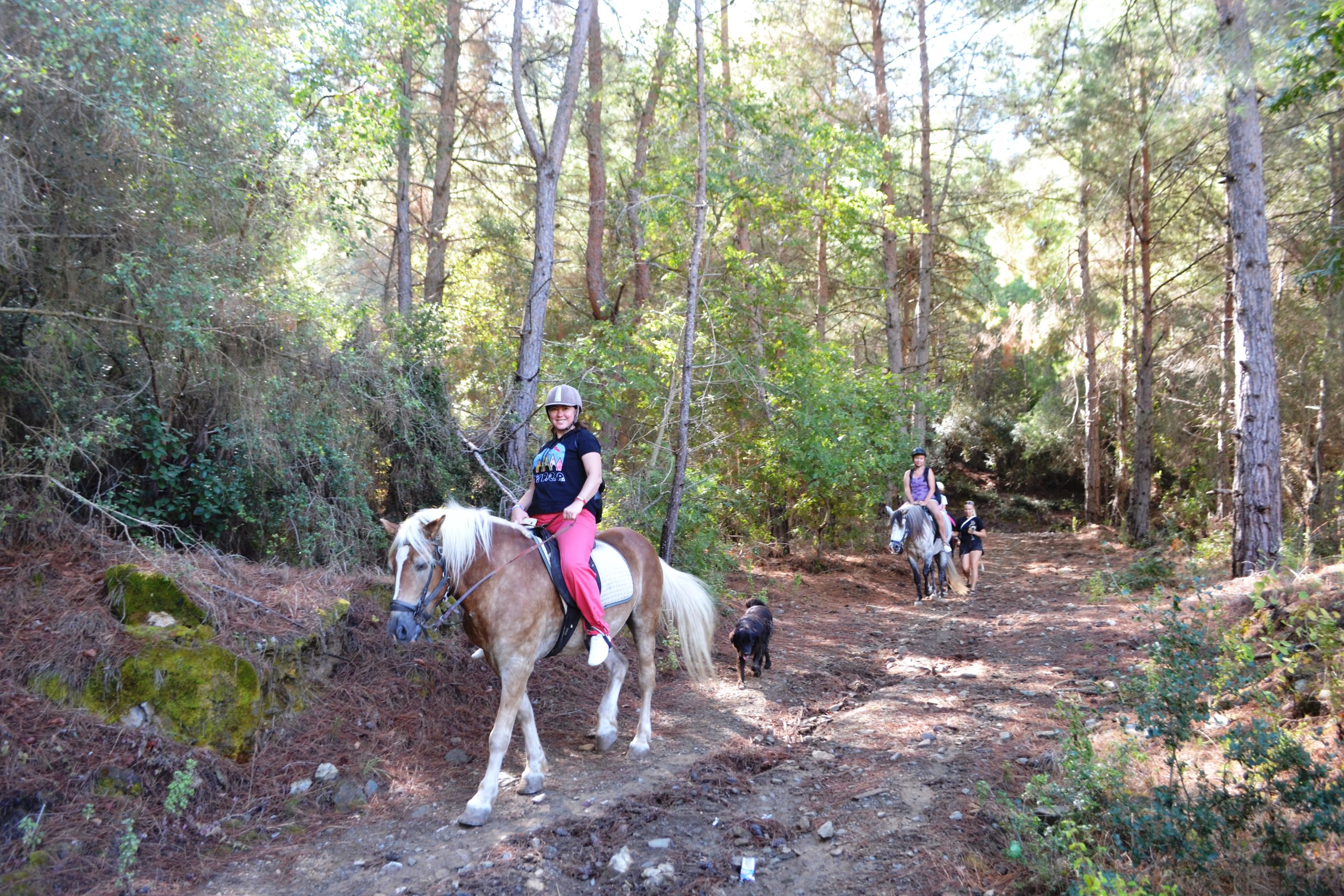 Прогулка на лошадях в Мармарисе