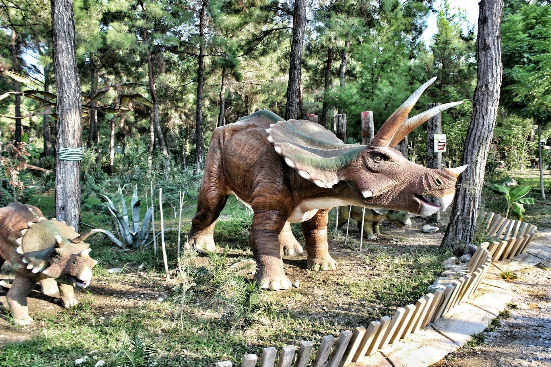 Dino Park in Kemer