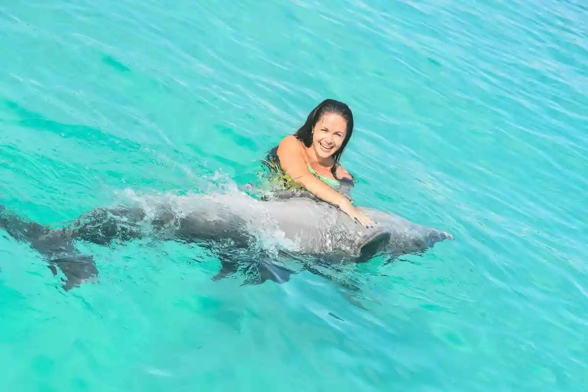 Swim with Dolphins in Kemer Tour | Dolphin Experiences | Book Session