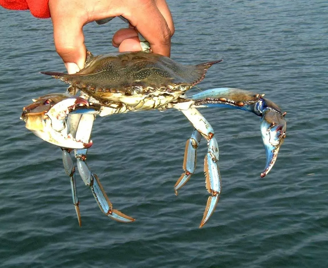 Экскурсия на озеро Кёйджегиз из Мармариса