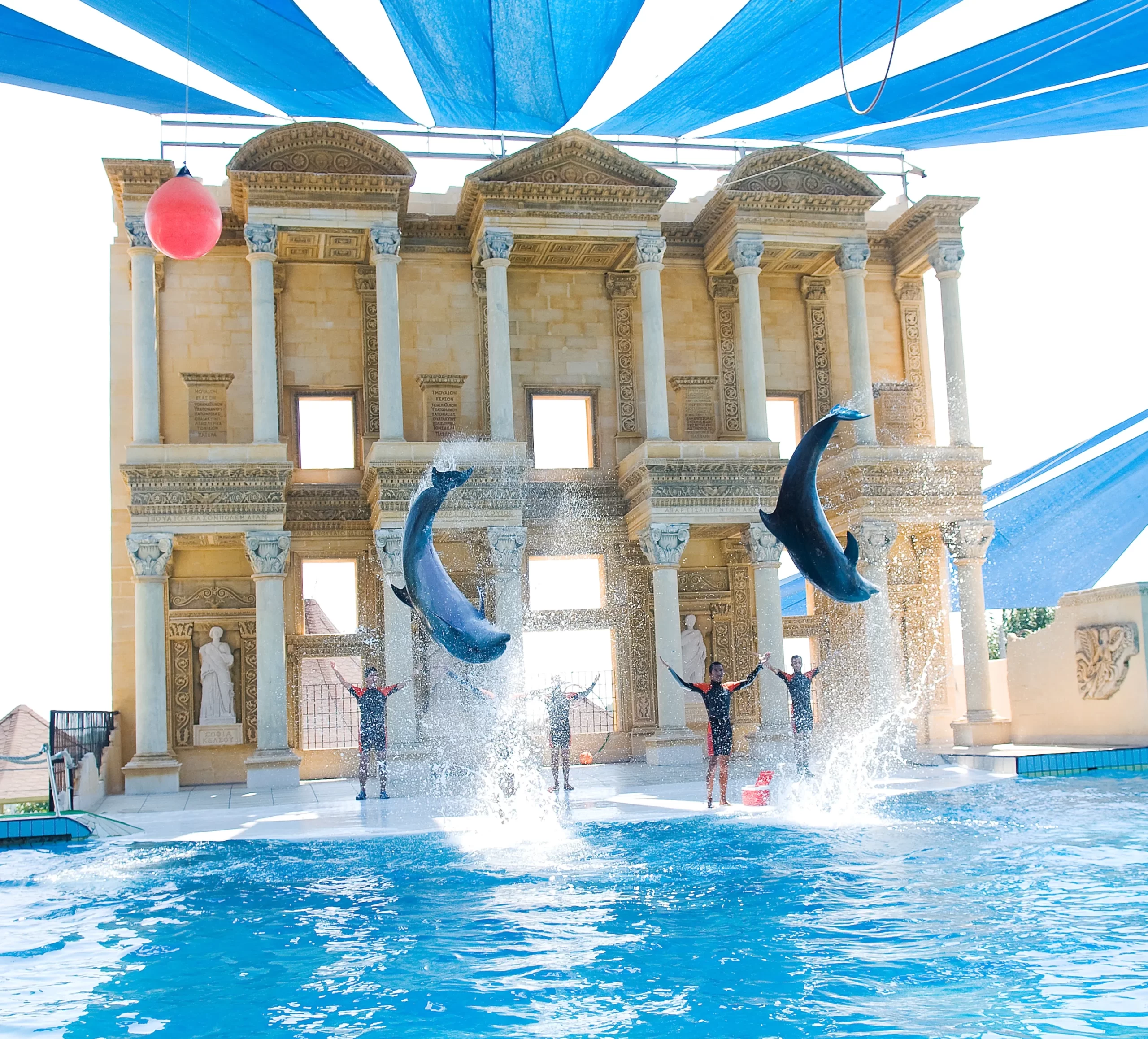 Kusadasi dolphin show