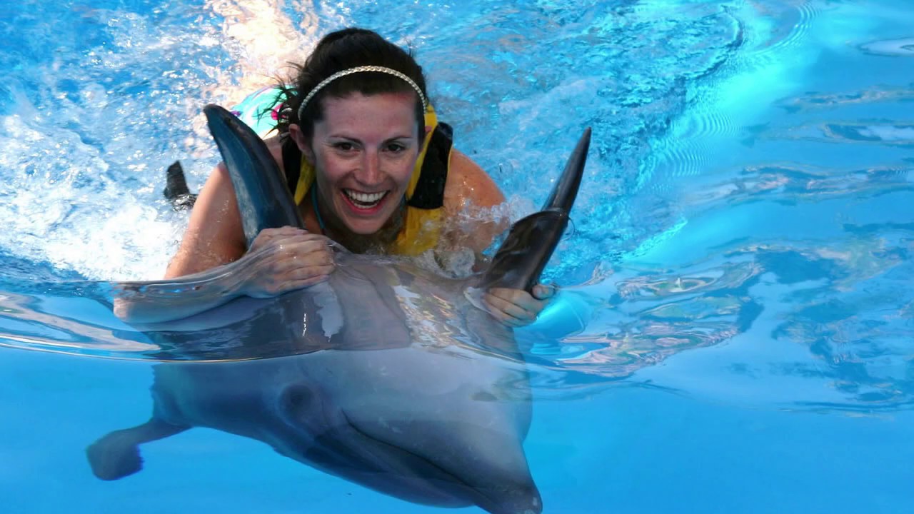 Swimming with Dolphins in Kusadasi