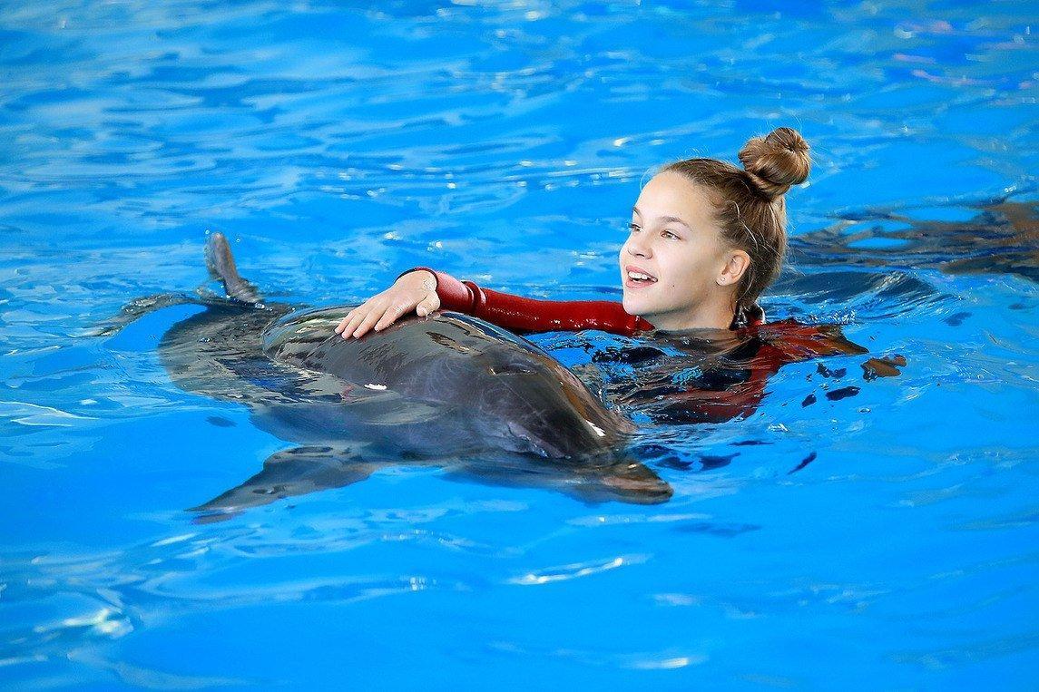 Swim With Dolphins Marmaris