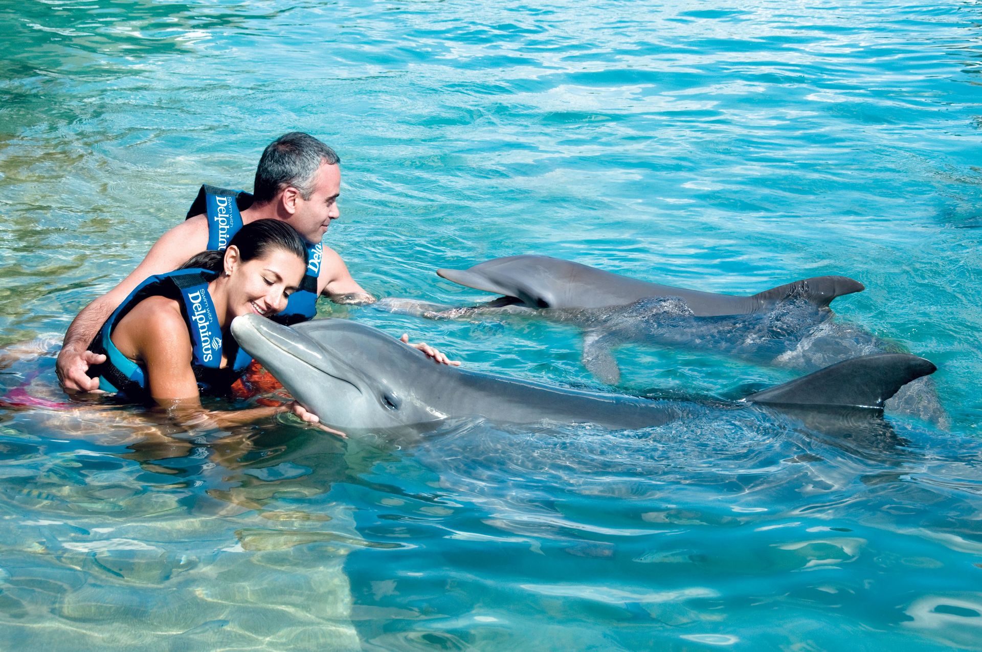 Swim With Dolphins Marmaris