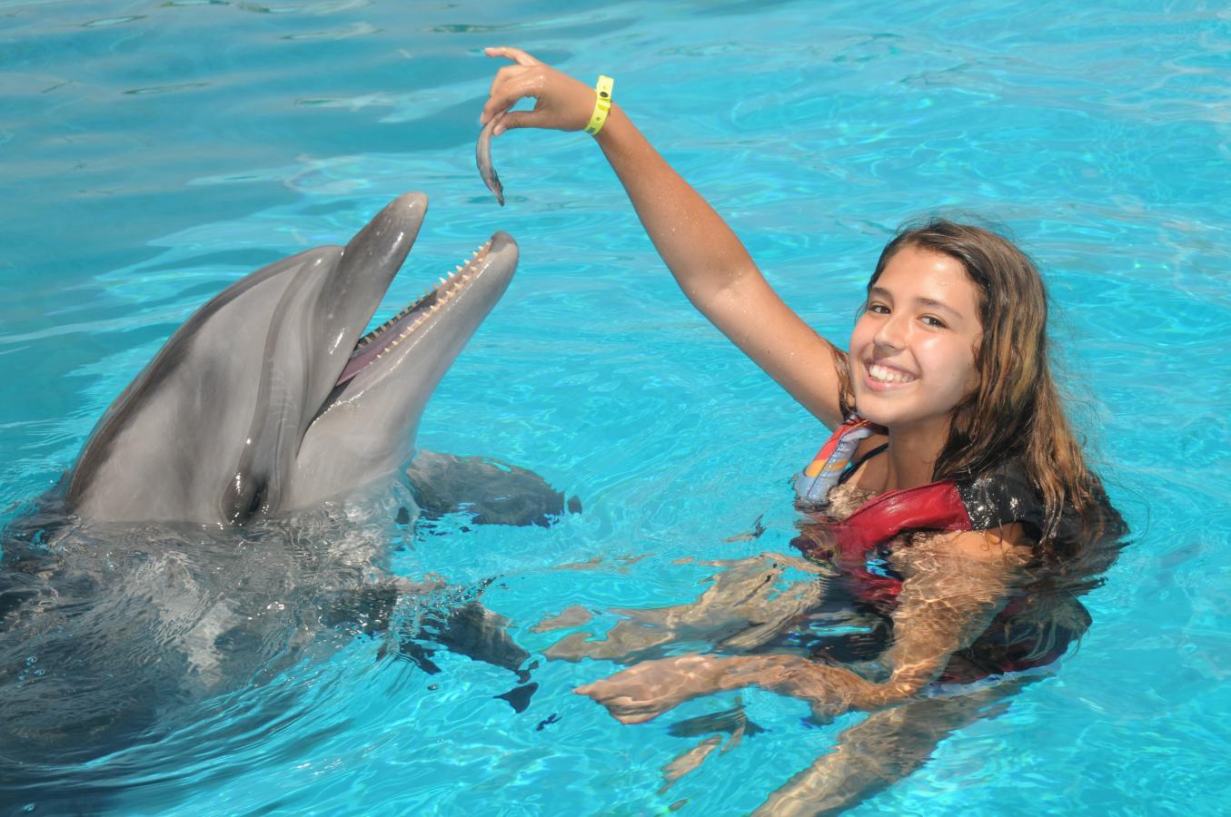 Swimming with Dolphins in Kusadasi
