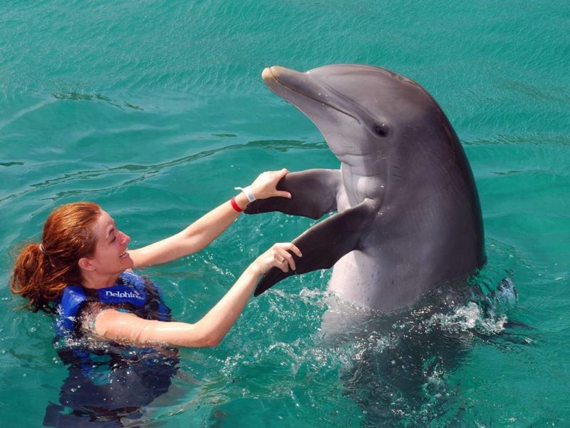 Swimming with Dolphins in Kusadasi